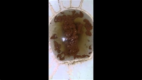 poop in pussy|Shit Filled Pussy